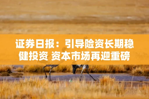 证券日报：引导险资长期稳健投资 资本市场再迎重磅利好