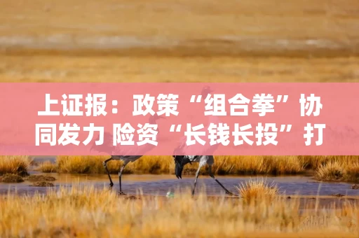 上证报：政策“组合拳”协同发力 险资“长钱长投”打开空间