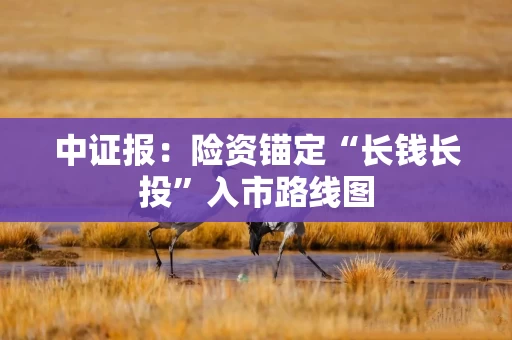 中证报：险资锚定“长钱长投”入市路线图