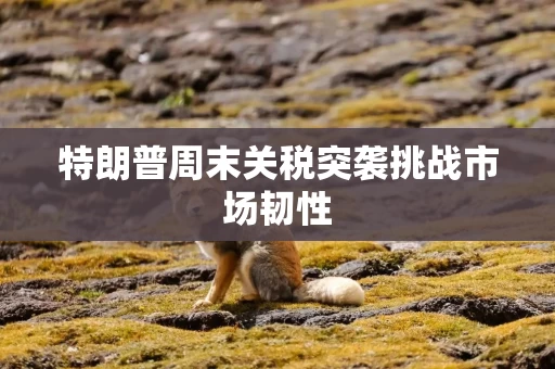 特朗普周末关税突袭挑战市场韧性