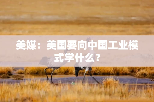 美媒：美国要向中国工业模式学什么？