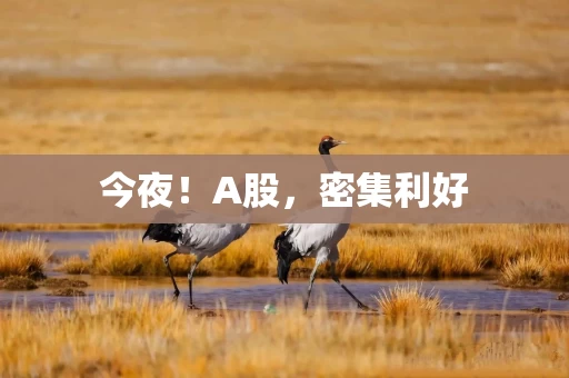 今夜！A股，密集利好