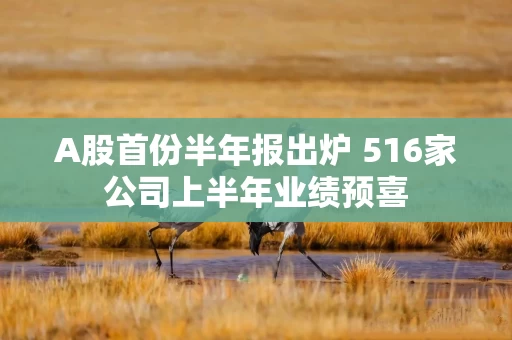 A股首份半年报出炉 516家公司上半年业绩预喜