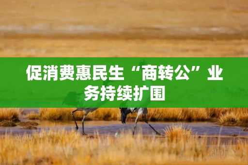 促消费惠民生“商转公”业务持续扩围