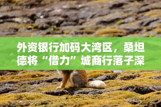 外资银行加码大湾区，桑坦德将“借力”城商行落子深圳