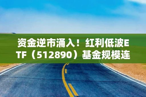 资金逆市涌入！红利低波ETF（512890）基金规模连续11个交易日刷历史新高