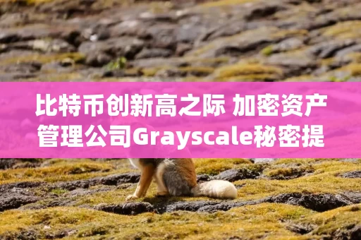 比特币创新高之际 加密资产管理公司Grayscale秘密提交在美IPO申请