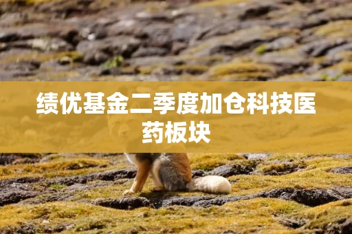 绩优基金二季度加仓科技医药板块