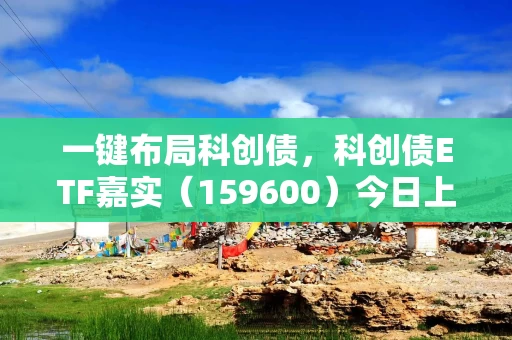 一键布局科创债，科创债ETF嘉实（159600）今日上市