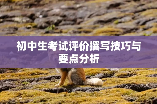 初中生考试评价撰写技巧与要点分析