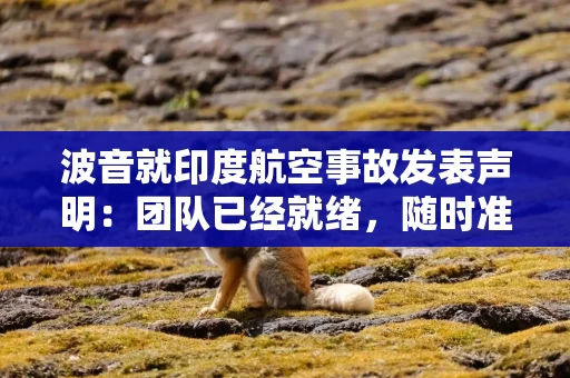 波音就印度航空事故发表声明：团队已经就绪，随时准备支持调查工作
