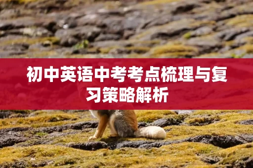 初中英语中考考点梳理与复习策略解析