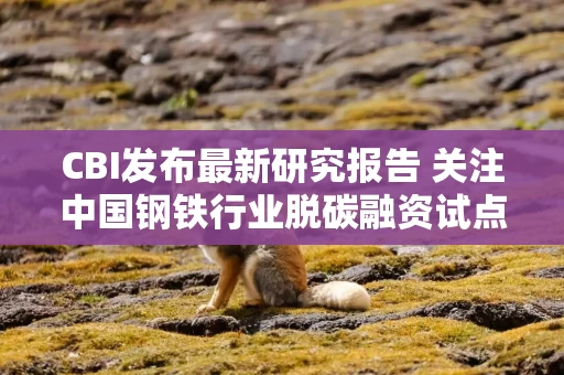 CBI发布最新研究报告 关注中国钢铁行业脱碳融资试点和市场进展