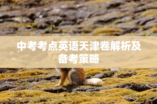 中考考点英语天津卷解析及备考策略