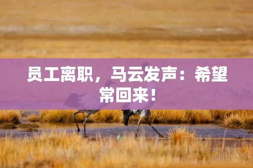 员工离职，马云发声：希望常回来！