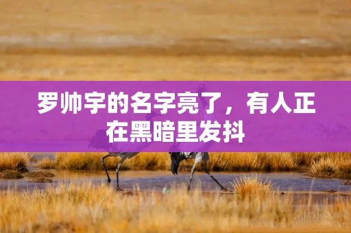 罗帅宇的名字亮了，有人正在黑暗里发抖