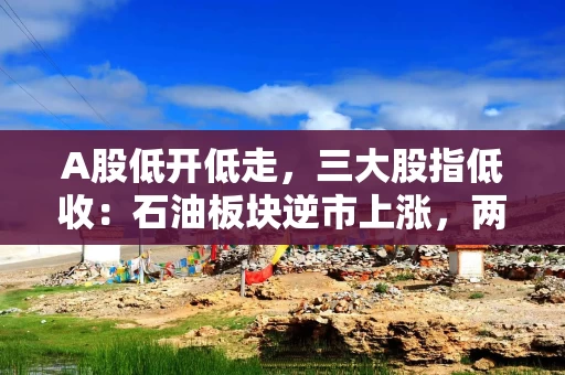 A股低开低走，三大股指低收：石油板块逆市上涨，两市成交近1.5万亿元