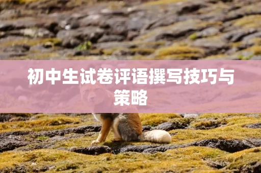 初中生试卷评语撰写技巧与策略