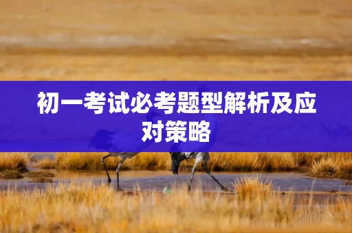 初一考试必考题型解析及应对策略