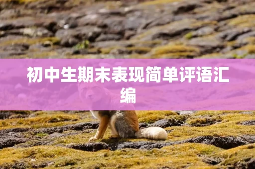 初中生期末表现简单评语汇编