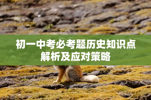 初一中考必考题历史知识点解析及应对策略