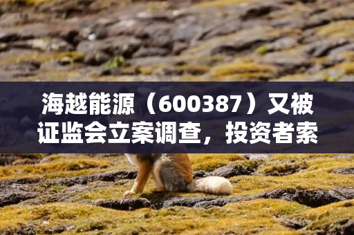 海越能源（600387）又被证监会立案调查，投资者索赔案再次向法院提交立案