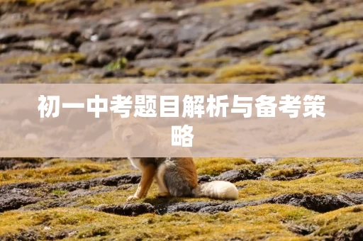 初一中考题目解析与备考策略