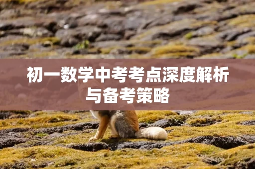 初一数学中考考点深度解析与备考策略