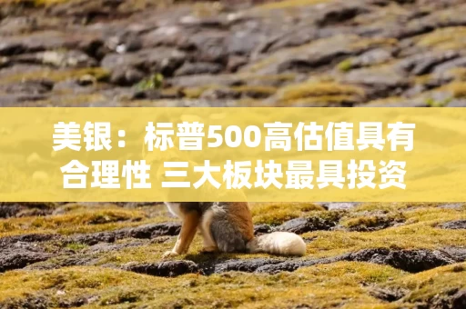 美银：标普500高估值具有合理性 三大板块最具投资价值