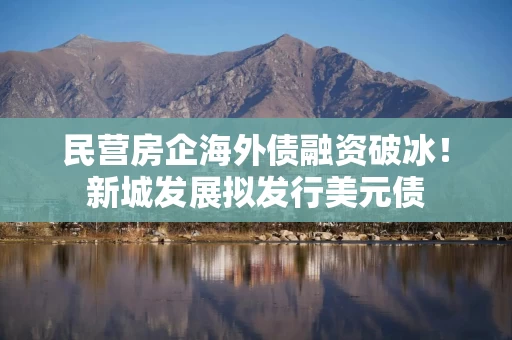 民营房企海外债融资破冰！新城发展拟发行美元债