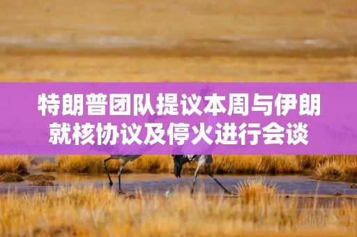 特朗普团队提议本周与伊朗就核协议及停火进行会谈