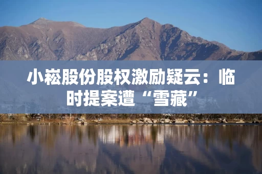 小崧股份股权激励疑云：临时提案遭“雪藏”
