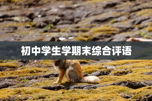 初中学生学期末综合评语