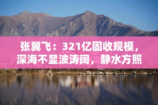 张翼飞：321亿固收规模，深海不显波涛阔，静水方照赤诚心