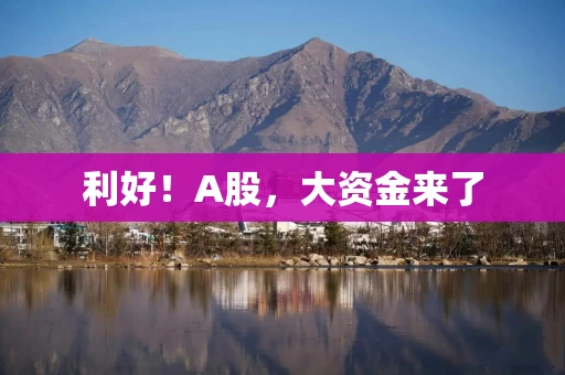 利好！A股，大资金来了