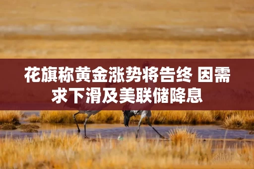 花旗称黄金涨势将告终 因需求下滑及美联储降息
