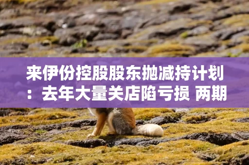 来伊份控股股东抛减持计划：去年大量关店陷亏损 两期员工持股皆因业绩不达标被取消