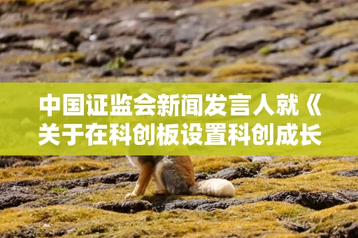 中国证监会新闻发言人就《关于在科创板设置科创成长层 增强制度包容性适应性的意见》答记者问