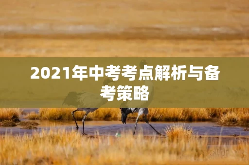 2021年中考考点解析与备考策略