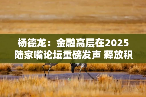 杨德龙：金融高层在2025陆家嘴论坛重磅发声 释放积极信号