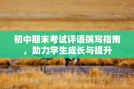 初中期末考试评语撰写指南，助力学生成长与提升