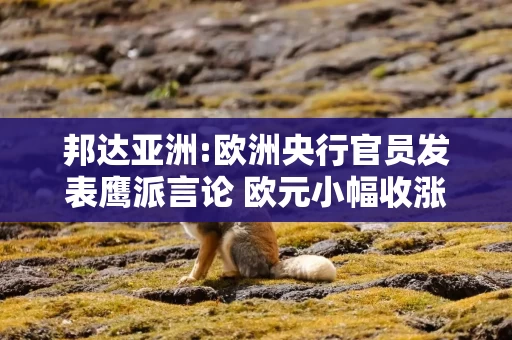 邦达亚洲:欧洲央行官员发表鹰派言论 欧元小幅收涨