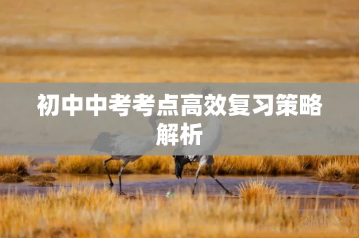 初中中考考点高效复习策略解析