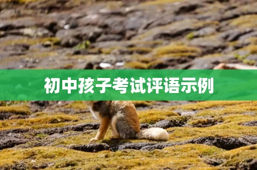 初中孩子考试评语示例