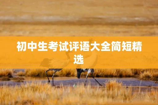 初中生考试评语大全简短精选