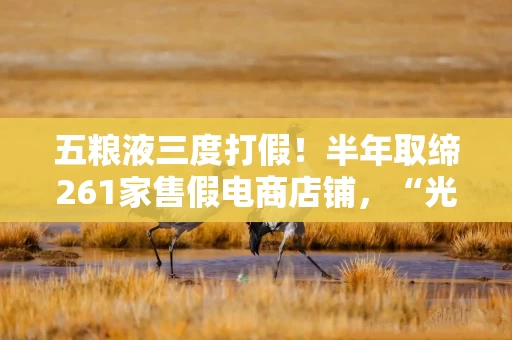五粮液三度打假！半年取缔261家售假电商店铺，“光瓶第八代五粮液”也是假的