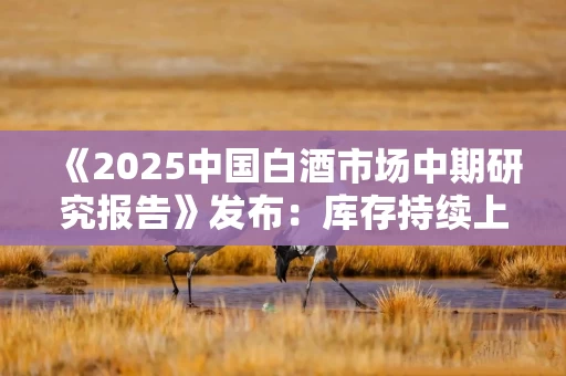 《2025中国白酒市场中期研究报告》发布：库存持续上升 年轻化需求崛起