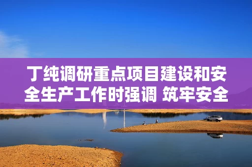 丁纯调研重点项目建设和安全生产工作时强调 筑牢安全防线加快项目建设 促进全市经济社会高质量发展