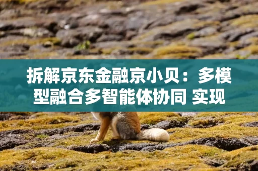 拆解京东金融京小贝：多模型融合多智能体协同 实现金融市场用户决策闭环