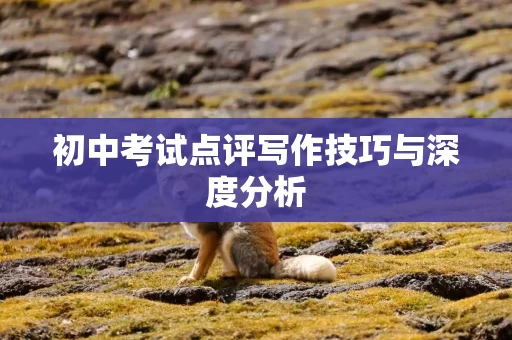 初中考试点评写作技巧与深度分析